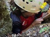 Seguimos trabajando Sierra Segura