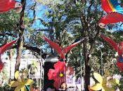 Bolivia llegada santa cruz