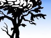 Archivo blog. paranoias constructivas sobre justicia. publicado 16/01/2018