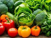 Mejores Verduras para Cultivar Vender Línea 2025