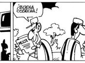 Primaveravalenciana.com