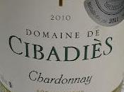 Chardonnay 2010 Chêne, Domaine Cibadiès