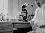 Piojos, nazis judíos