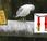 Gaviota H6E9