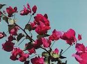 Reseña mitad Credo" Emilio González Déniz