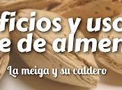 Beneficios Usos Aceite Almendras