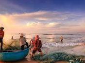 sostenibilidad alimentaria