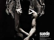 Suede sound summer (2025)