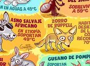 Calor Cerebro Tierra Mezclas Sábado Ciencia!!