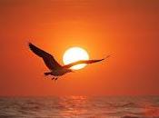 6.326 buscaba mar...