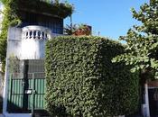 pequeño paraíso dentro enorme jungla cemento esta gran Ciudad.