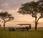 Especial safaris lujo 2026