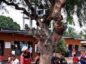 Mozambique inhambane praia tofo