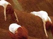 Aleksandra Lun: "Química para mosquitos"