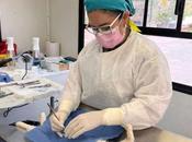 Gobierno Capitalino reconoce interés ciudadano Jornadas Itinerantes “Esterilizando Juntos”