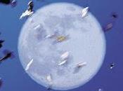 Gidon Kremer Naoko Yoshino Insomnia (1999)