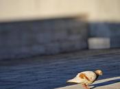 poquito Sombra, favore Fotografía creativa móvil Barakaldo Ibarakaldo