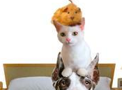 Maldito Karma Lectura Recomendada