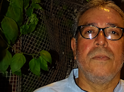 Retina Trump, Machado lógica