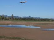 Cuando Naturaleza compite 'hub' internacional