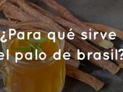 ¿Para sirve palo brasil?