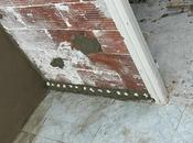 Tratamiento Humedad Ascendente Barcelona: Caso Éxito Hogar Seco