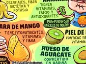 ¿Qué Cáscaras pueden comer? ¿Bebéis Cerveza?