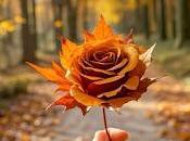 6.338 entra otoño...