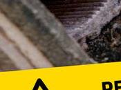 Peligros amianto importancia contratar empresa especializada retirada