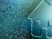 Soluciones definitivas contra humedad hogar Hogar Seco