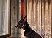 novedad…. Fotografía creativa móvil Barakaldo Ibarakaldo