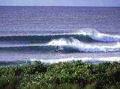 Billabong J-Bay degradado evento Estrellas