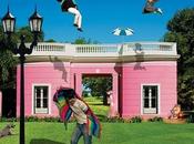 Alfonso pintor casa rosada alfonso