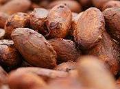 Hallan toxinas cancerígenas chocolate alta concentración cacao