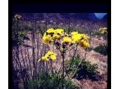 Antídoto contra lunes