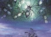 'Testigos estrellas', Robert Wilson