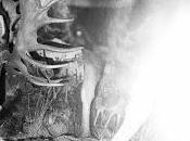 Agriculture estrena Dan's Love Song