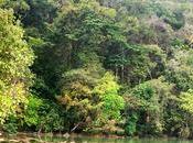 Facultad Ciencias publican Science estudio sobre recuperación natural bosques tropicales