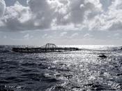 sostenibilidad hostelería será premiada Madrid Fusión