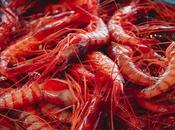 celebra CONXEMAR 2025 sostenibilidad pesca ibérica destaca entrada gamba roja Palamós Programa Mejora