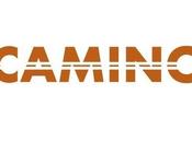 Camino Minerals recibe aprobación ambiental amplía vida útil proyecto cobre Puquios Chile