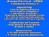 Profesional Senior (Energía Eléctrica) URSEA