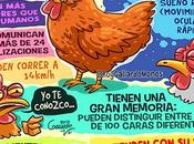 Gallinas Tigres Perros