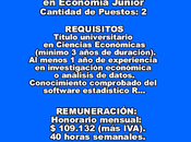 Consultor Analista Economía Junior