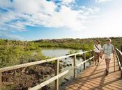 Metropolitan Touring celebra Mundial Turismo llamado transformación sostenible