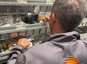 Ircongas lanza nueva tienda online para acercar facilitar componentes todas marcas fabricantes talleres particulares distribuidores