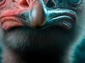 Reseña: estrategia avestruz», Marcos Paricio