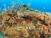 Fundación Futura cumple años objetivo invertir millones hasta 2030 iniciar internacionalización