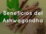 Beneficios Ashwagandha