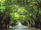 promedio persona muere cada accidentes carretera Neiba-Villa Jaragua